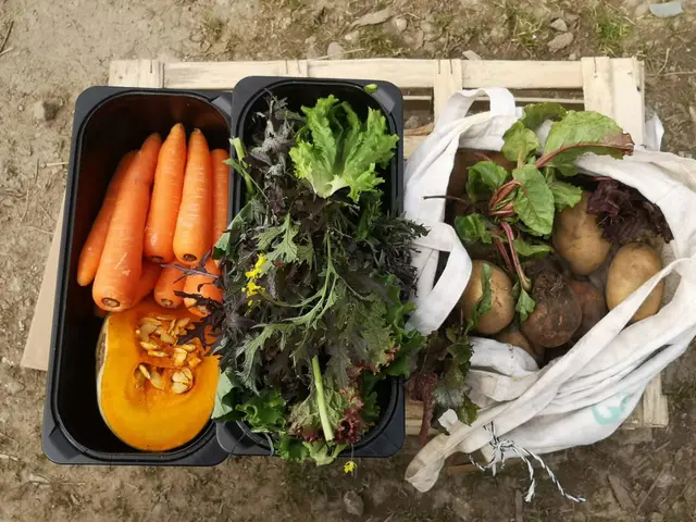 Large veg bag overflowing with seasonal organic produce from Grassroots Garden