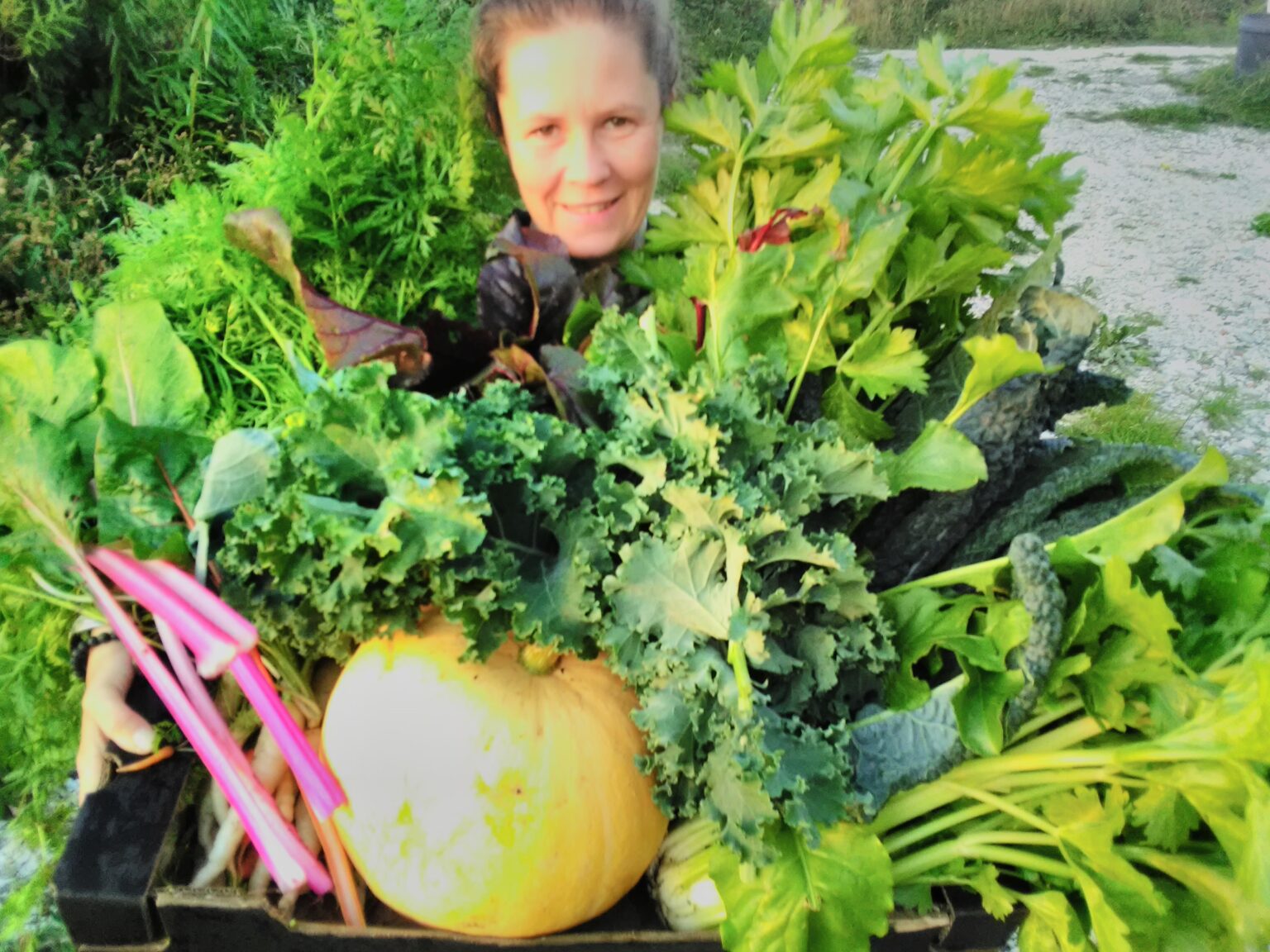 Volunteering Grg Your Local Market Garden